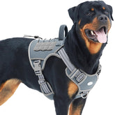 AUROTH Tactical Harness gray front view showing secure fit for large dogs