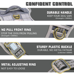 AUROTH Harness quick-release buckles enable easy on/off