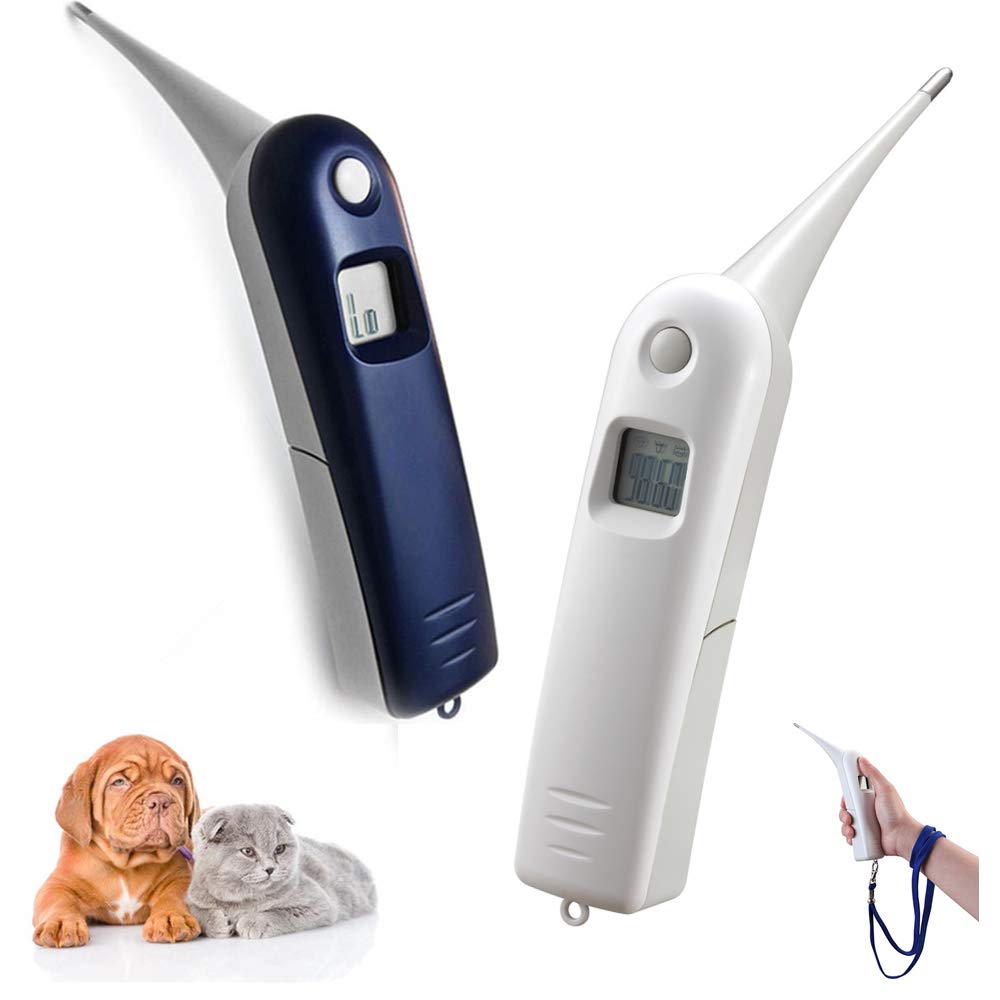 Aurynns pet thermometer display for quick, clear readings across dogs, cats, and other pets