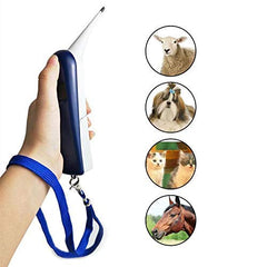 Aurynns pet thermometer rectal-use illustration emphasizes proper insertion and sanitation
