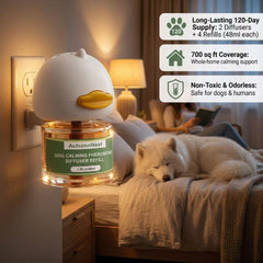 AutumnNest plug-in diffusers in wall socket for continuous calming diffusion