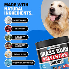 Avid Paws Enzyme and DL-Methionine blend image for healthier lawn and pet vitality
