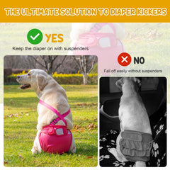 Avont diaper in heat-cycle fit demonstrates secure waist with adjustable suspender system for small to large dogs