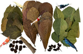 Awesome Aquatic catappa leaves boost habitat quality with natural tannins for shrimp health