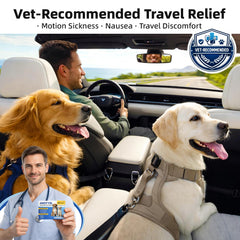 AWQYYSL beef-flavored tablets help dogs take medication more easily during rides.
