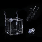 AWXZOM acrylic fish breeding box assembled for safe, clear observation.