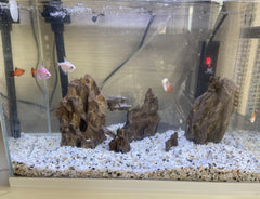 AWXZOM aquarium dragon rock close-up aids realistic landscape in tank.