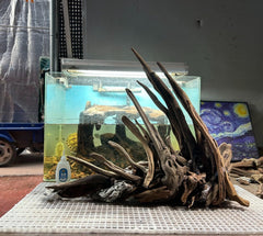 AWXZOM driftwood branch for aquarium branch structure for landscapes.