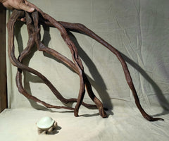 AWXZOM driftwood branch in tank showcasing natural form for aquarium decor.