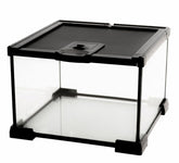 AWXZOM mini glass terrarium front view provides a clear window for easy pet observation.