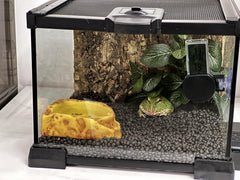 AWXZOM mini terrarium anti-escape lock keeps small pets secure during handling.