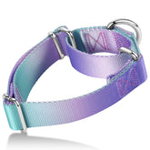 Axdvk Martingale collar gradient purple-green front view for walking with escape-prevention design