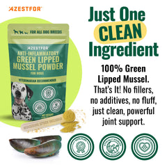 Azestfor Green Lipped Mussel dog powder jar front, premium all natural supplement for joints