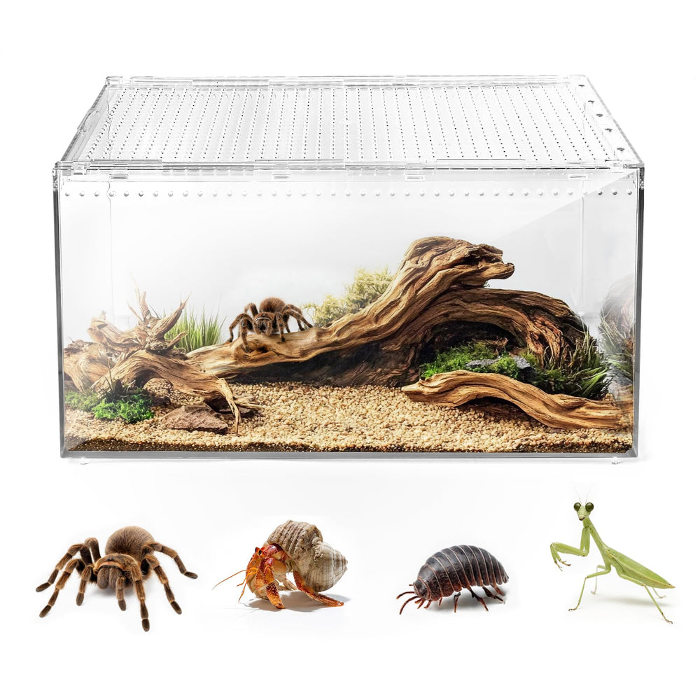 AZV Escape-Proof lid terrarium secures tarantulas and geckos in any room.