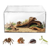 AZV escape-proof terrarium with magnetic lid ensures secure housing for tarantulas and geckos.