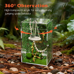 AZV Jumping Spider Enclosure side ventilation holes provide fresh airflow.