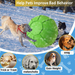 BabieDtOyG green agility kit for dogs to practice commands