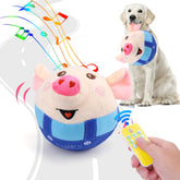 BABORUI Blue Pig interactive dog toy with remote control in action.