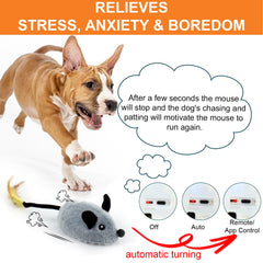 BABORUI mouse interactive dog toy squeaky sound keeps dogs entertained.
