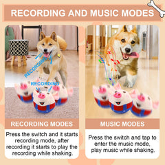 BABORUI pig interactive dog toy music mode keeps dogs entertained and relaxed