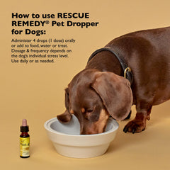 Bach Rescue Remedy Pet Dropper helps ease nerves before vet visits.