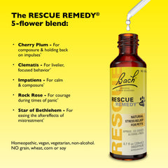Cat at home with Rescue Remedy Pet Dropper for calm management