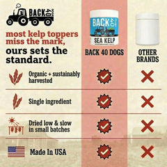 Back 40 Dogs kelp powder fine texture close-up suitable for easy mixing.