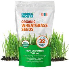 Back to the Roots organic wheatgrass seeds in a 2lb bag, ideal for fresh juice.
