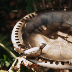 Backyard Expressions bird bath placed in a garden setting for decorative appeal.