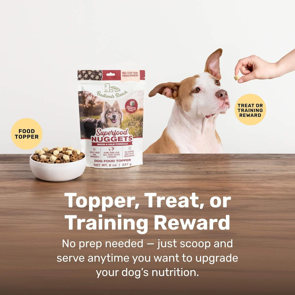 BADLANDS RANCH dog enjoying nuggets as a training reward