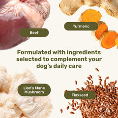 Badlands Ranch turmeric-infused chews showcased with turmeric root, highlighting natural spice and flavor.