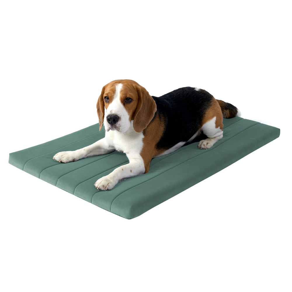 BALANCE Dog Crate Bed foam closeup highlights orthopedic support for comfortable lounging.