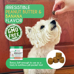 Balanced Breed probiotics capsules support gut health and daily vitality