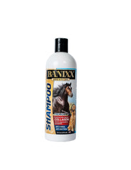 BANIXX medicated shampoo bottle with marine collagen for healthier, glossy coats.