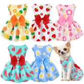 Baobecute floral pineapple print dress keeps small dogs cool at summer outings.