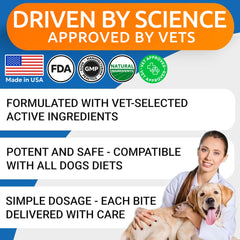 BARK&SPARK omega-3 skin support image highlighting healthy coat