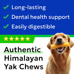 BARK&SPARK Yak Cheese Himalayan chews in use, dog enjoys chewing.