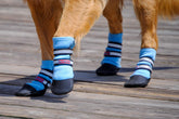 Bark Brite blue-md paw booties top view offer breathable protection for warm days.