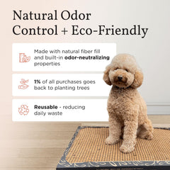 Bark Potty natural-odor-neutralization highlights a fresh, odor-free home with natural materials.