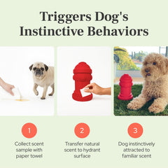 Bark Potty scent-training-activation attracts tiny dogs during indoor sessions