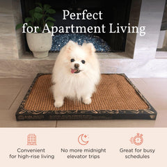 Bark Potty small-dog-size-24x16 showcases the Standard option for dogs under 25 pounds.