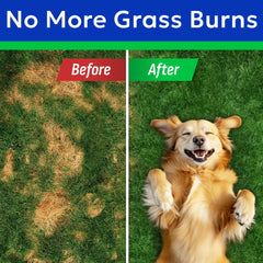 BARK&SPARK Green Grass Chews on lush lawn showing stain reduction