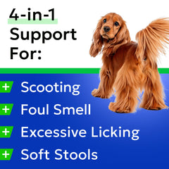 BARK&SPARK dandelion root extract supports gentle digestion and gland health.