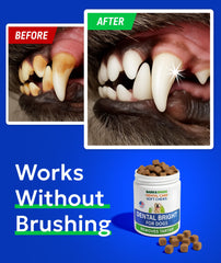 Dog enjoying a BARK&SPARK breath-freshener chew