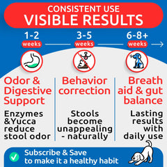 Illustration of probiotics and enzymes in BARK&SPARK No Poo Chews for gut-friendly support.
