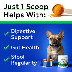 BARK&SPARK Pumpkin Powder scoop for easy serving