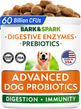 Bark&Spark Vet Strength probiotic jar front promotes daily gut health.
