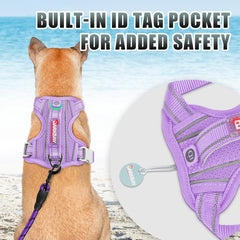 BARKBAY breathable air mesh keeps dogs cool on hot day runs