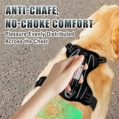 BARKBAY anti-chafe padding adds comfort on longer wear.