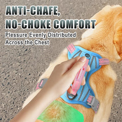 BARKBAY breathable air mesh keeps dogs cool during activity.
